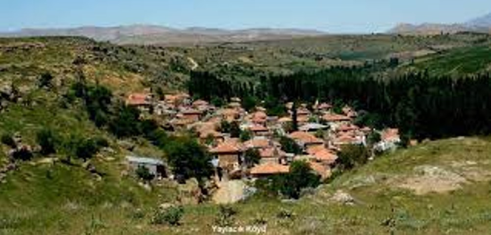 Fotoğraf